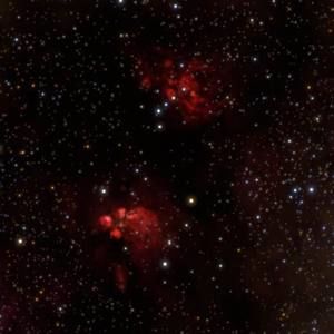 Meet your Posher, Niki